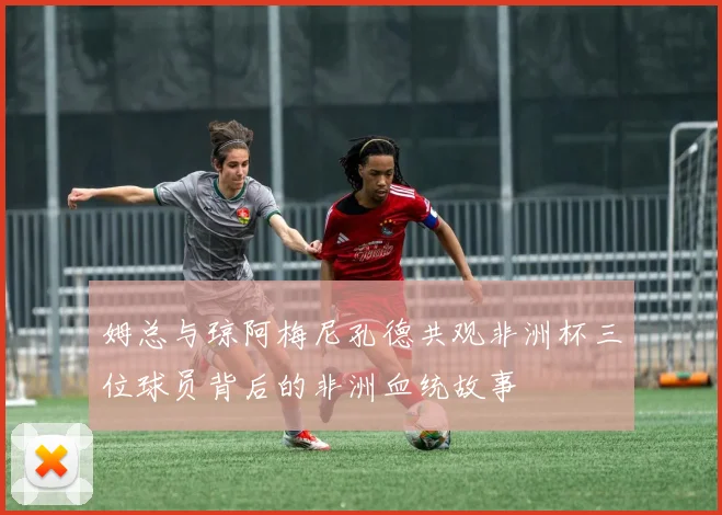 姆总与琼阿梅尼孔德共观非洲杯三位球员背后的非洲血统故事