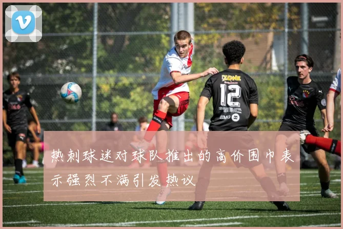 热刺球迷对球队推出的高价围巾表示强烈不满引发热议